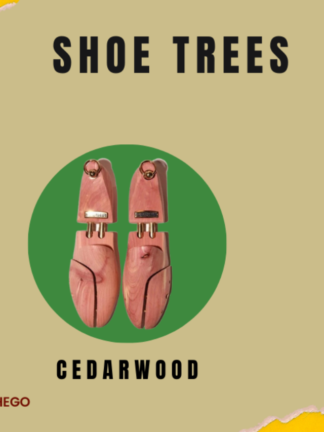 8 Amazing Shoe Tree For Sneakers, Is It Really Worth It In 2024?